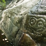 on Reef Bay Trail - a petroglyph