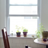 kitchen nook with basil and arugula